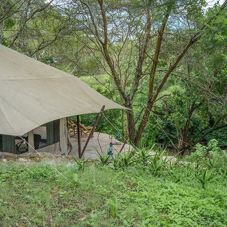 Usa River Dolly Farm & River Camp, Luxury Tents מראה חיצוני תמונה