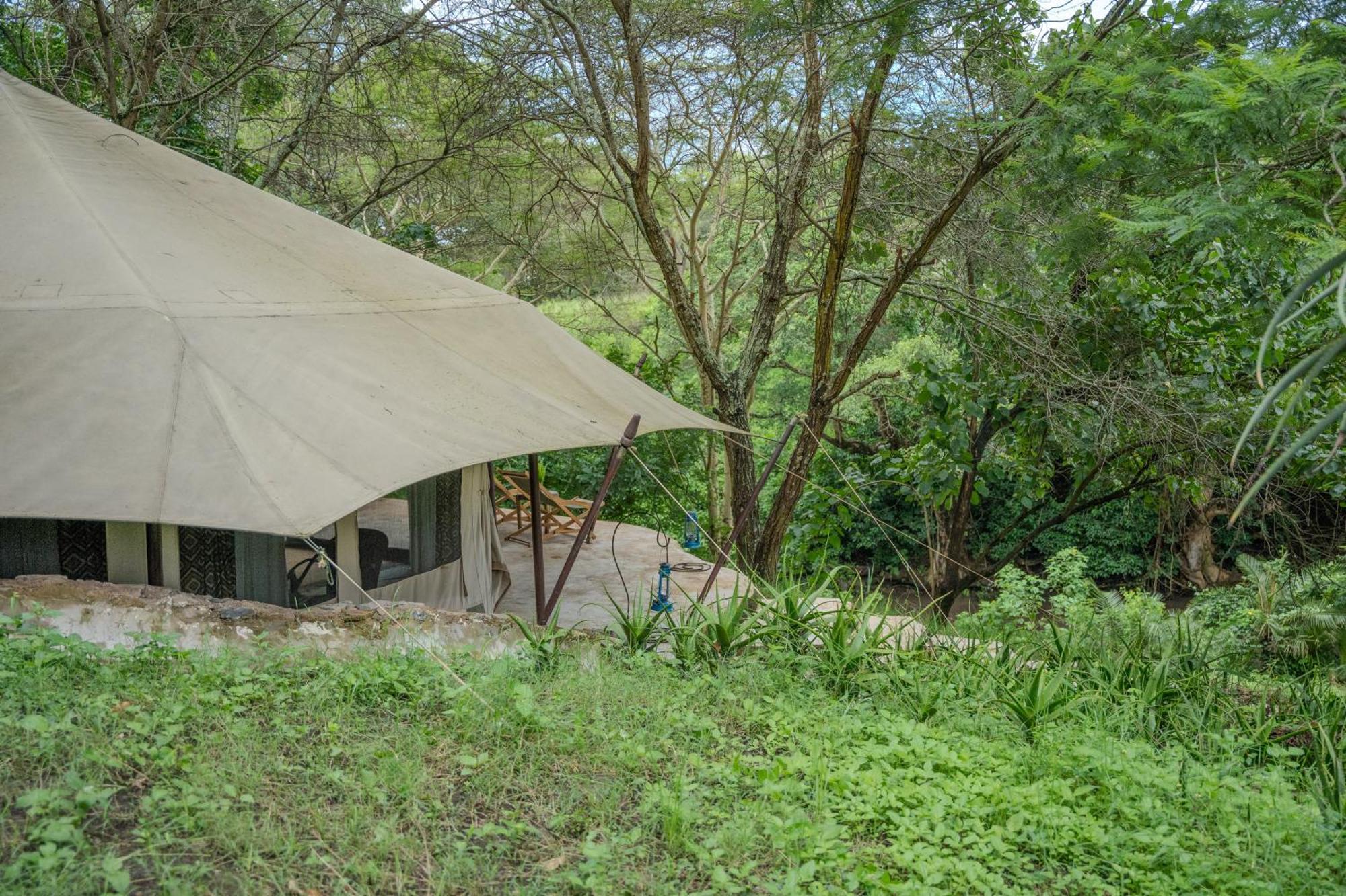 Usa River Dolly Farm & River Camp, Luxury Tents מראה חיצוני תמונה
