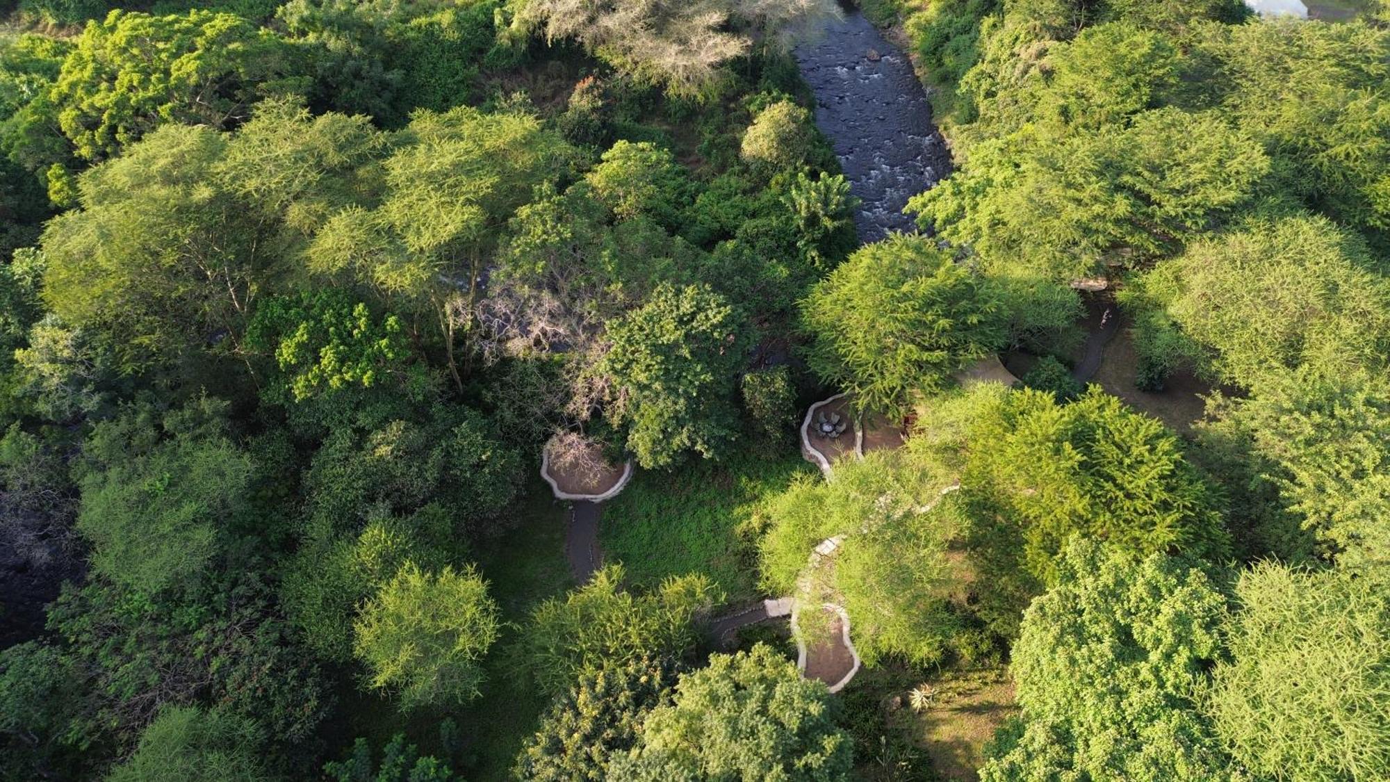 Usa River Dolly Farm & River Camp, Luxury Tents מראה חיצוני תמונה